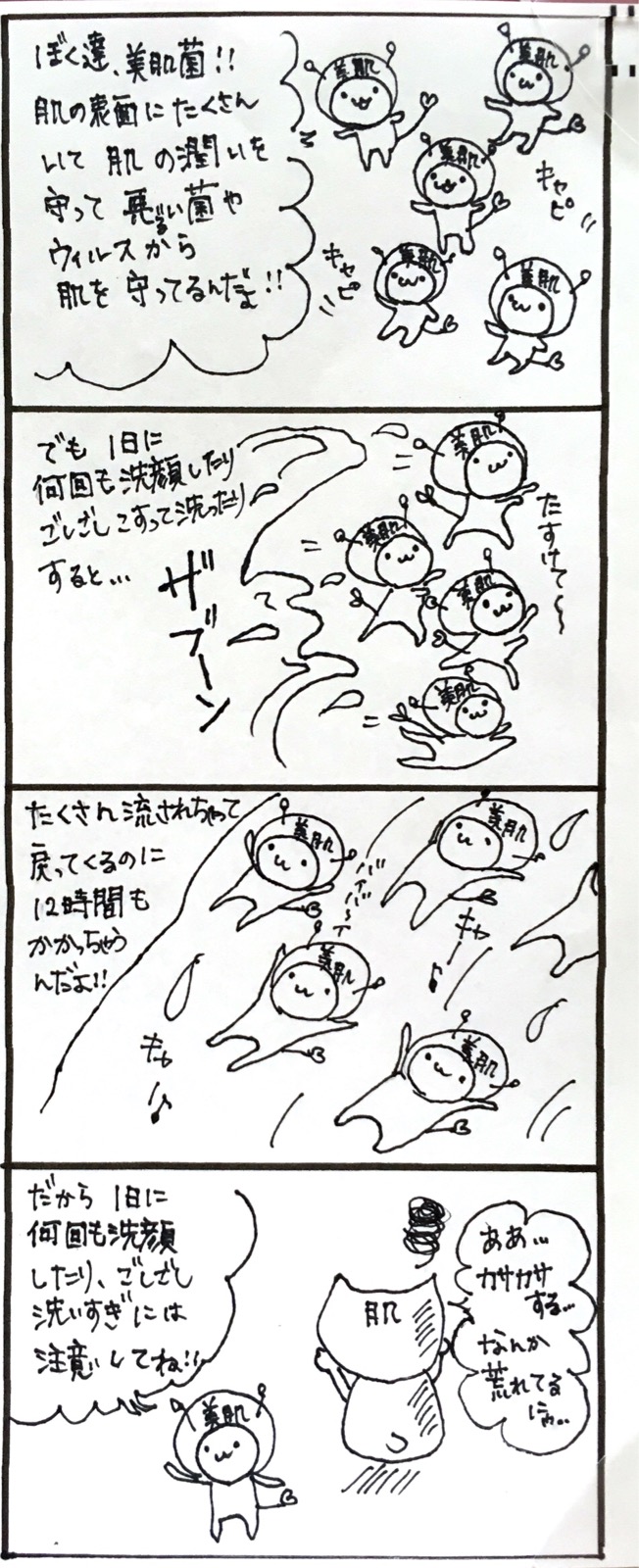 IMG-3253